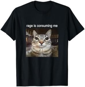 Rage Is Consuming Me Silly Staring Cat Meme T-Shirt