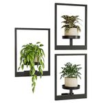 Bamworld Picture Frame Wall Plant Holder Window Plant Shelf Wall Hanging Planters for Indoor Plants Plant Hanger Outdoor Wall-Mounted Plant Rack Black Metal Wall Decor 3 Pack(Pot Not Included)