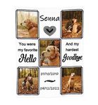 Funnylife Pet Memorial Blankets Personalized - My Hardest Goodbye Custom Dog or Cat Photo Blanket Remembrance Gift - Consolati Gifts for Grieving Pet Owners, 30''X40''