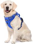 Funfox No Pull Dog Harness for Larg