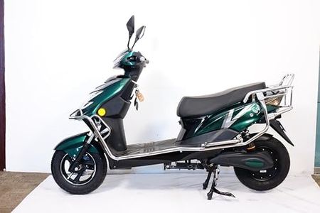 Zeal Plus 