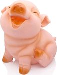 H&W Cute Pig Coin Money Bank, Shatterproof Piggy Bank, Creative Money Bank, Can Store 1000 Coins, Best Bitrthday Gift, Squint Piggy (WK7-D2)