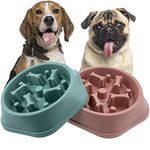 CAISHOW Slow Feeder Dog Bowl Slow Food Feeding Pet Bowl Slow Eating Healthy Design for Small Medium Size Dogs