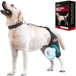 Dollephi Dog Knee Brace for Torn ACL Hind Leg, Support for Patella Dislocation or Osteoarthritis, Cruciate Ligament Injuries, Cut-Out Non-Slip Wrap Promotes Patellar Stability(Left Leg,XL)