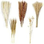 Houbobo 100Pcs Pampas Grass Boho Home Decor, Natural Phragmites Dried Flowers Bouquet, DIY Boho Plants for Wedding Floral Arrangements Home Decorations