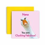 Huxters Birthday Cards for Women – Fabulous Goose Nana Happy Birthday Card for Birthday, Mother’s Day – Nana Birthday Card with Lovely Green Envelope – Funny Birthday Card (Nana)