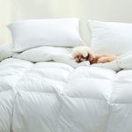Dreamstead by Cuddledown Down Alternative All Season Comforter | Synthetic Fill | 235 Thread Count 100% Cotton Percale Shell | Duvet Insert | Hypoallergenic | Handcrafted | King