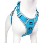 HANK Dog Vest Harness - 3M Night Reflective - Oxford Fabric - 4 Adjustable Buckle - Chest (Min 32- Max 42" inches) (X-Large, Cyan Blue - Grey Design)