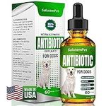 Natural Antibiotics for Dogs | Dog 