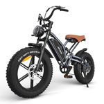 JANSNO Electric Bike 20" x 4.0 Electric Bike for Adults with 750W Brushless Motor, 48V 14Ah Removable Battery, 7-Speed Transmission UL Certified