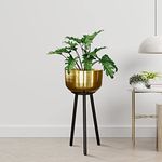TrustBasket Marcel Metal Plant container (Gold) | Heavy Duty High Durable Floor Pot with Stand for Living Room, Indoor/Outdoor Balcony Home Decor