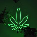 Neon Sign Green Leaf Form Factor with Dimmable Switch LED Signs Beer Bar Man Cave Club Bedroom Neon Light for Office Hotel Pub Man Cave Art Wall Lights