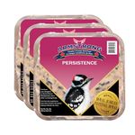 Armstrong Royal Jubilee Suet, Persistence, Wild Bird Food for Woodpeckers (3 Pack) 900g