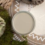 Dixie Belle Paint Company Chalk Finish Furniture Paint - Spanish Moss (1 Gallon - 128oz) - Matte Dainty Pink Chic Chalk Mineral - DIY Furniture