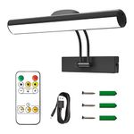 Rechargeable Picture Light with Remote, Cordless Picture Lights for Paintings, Dimmable LED Art Display Lamp, Metal Art Light Display Lamp for Dartboard Wall Artwork Portrait