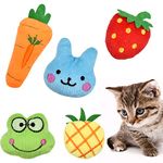 Dokpav Cat Catnip Toys, 5Pcs Soft Plush Cat Interactive Toys Cat Chewing Pillow Toys Kitten Toys Catnip Teeth Cleaning Toys for Cat Kitten Biting Chewing Kicking and Indoor Interactive