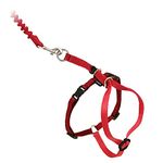 PetSafe Come With Me Kitty Harness and Bungee Leash, Harness for Cats, Medium, Red/Cranberry, Model:CWMK-M-RED