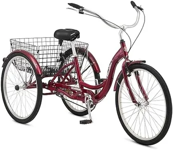 Schwinn Me