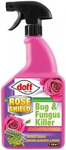 DOFF Rose 