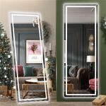 Hasipu Full Length Mirror with Ligh