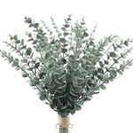 24pcs Eucalyptus Stems Artificial Eucalyptus Leaves Stems Real Grey Green Touch Leaf Branches for Home Office Flowers Bouquet Centerpiece Wedding Decoration