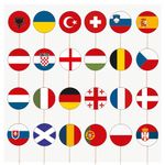 AK Giftshop Football Euro Flag Toppers Decorations 24 National Team Food Picks (24 Pack)