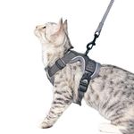 pangdi Cat Harness and Leash Set Escape Proof Large Tactical Travel Cat Leash for Walking Adjustable Small Kitty Holster Kitten Harness Emotional Support Service Cat Vest-Grey-S