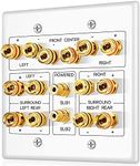 TNP 7.2 Surround Sound Subwoofer and Speaker Wall Plate - AV Home Theater Media HDMI Banana Plug RCA Wall Speaker Connection Audio Plate