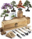 Bonsai Tree Kit – 5+1 Unique Bonzai Trees | Complete Indoor Bonsai Starter Kit for Growing Bonsai Plants with Tools & Planters – Gardening Gifts for Women & Men