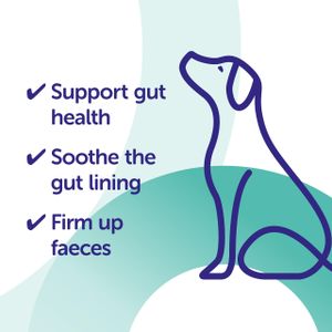 Protexin Pro-Kolin Gut Paste for Pets, 15ml