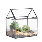 NCYP 15.5x11x16cm Small Closed Glass Geometric Terrarium Box with Swing Lid for Succulent Air Plants, Tabletop Window Sill Flower Planter Pot, Centerpiece (No Plants Included)