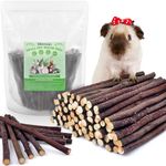 Bissap 460g/1lb Apple Sticks for Guinea Pig, Rabbits Natural Molar Chew Toys for Bunny Chinchilla Guinea Pig Hamster Gerbil and Small Animals Apple Wood Stick Toys Treats (460g/1lb)