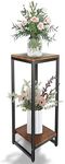 Jo.Devivre 30 inch tall plant stands Indoor ,Tall Metal Single Plant Holder, 2 tier Pedestal Stands, Modern Corner Square Flower Tall Plant Tables Indoor Outdoor (Style D-2 tier)