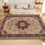 Modern Area Rugs for Bedroom Sitting Room Rugs 120 x 170 cm - Anti Skid Heavy Weight Large Area Rugs for Bedroom Living Room Kitchen Carpet Non Slip Mats - Beige