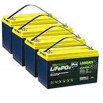 LOSSIGY 12V 100Ah Lifepo4 Lithium B