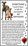 Greyhound Lover (I Learned from my Greyhound) Gift - Large Fun flexible Fridge Magnet- size 16cms x 10 cms (approx. 6" x4")