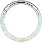 Uzgtvy 16G Opal Septum Rings Hoop Nose Ring Lip Rings Stainless Steel Hinged Segment Ring Seamless Clicker Ring Cartilage Earrings Hoop Helix Tragus Septum Piercing Jewerly, Crystal Rhinestone,