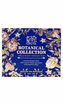 SAN-CHA Tea Boutique Botanical Collection Sampler Box|Sampler Trial Pack|Tea Assortment Of 16 Premium Tea Bags|Pyramid Tea Bags|Tea Variety Pack, Green Tea, 240 Gram