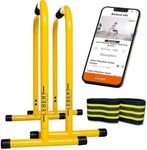 Lebert Fitness Dip Bar Stand - Orig