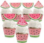 Big Dot of Happiness Sweet Watermel