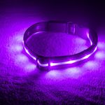Blazin' Bison Safety LED Dog Collar - USB Rechargeable With Water Resistant Flashing Light (S, Purple)