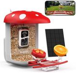 WUIPET Bird Feeder with Camera, Smart Bird Feeder Camera with AI Identify Bird Species, Auto Capture Bird Videos & Instant Notifications, Live View, Solar Panel, Ideal Gift for Bird Lover, Red