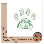 1 Tree Cards Pet Bereavement Cards + Eco Gifts - New Puppy, Cat Birthday or Dog Sympathy Card with Tree & Flower Seed Memorial Keepsake (Green Paw)