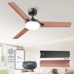 DREO Smart Ceiling Fans with Lights, 52 Inch(132cm) Ceiling Fan, 12 Speeds & 3 Fan Modes, Stepless Color Tones, Dimmable LED Light, 1-12H Timer, Quiet DC Motor, Black