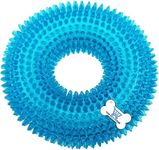 THE DDS STORE Pet Puppy Dog Squeaky Chew Toys for Aggressive Chewers Dental Teething Cleaning [Non-Toxic Soft Natural Rubber], Cute Crystal Ring Design -4.92 inches (BLUE)...