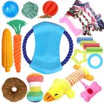 Puppy Toys,21 Pack Dog Toys for Small Dogs,Puppy Teething Toys,Puppy Chew Toys,Squeaky Plush Toys and Rope Toys,Interactive Dog Toys