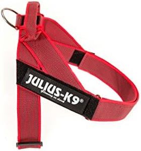 Julius-K9 