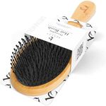 Detangler Brush Hair Brush - Hair B