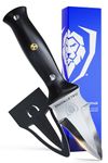 Dalstrong Professional Oyster Knife - 3.5 inch - Shogun Series Elite - Clam and Shellfish Shucking Knife - Japanese AUS-10V Super Steel - G10 Handle - Cooking Fish Kitchen Knife - Sheath Included