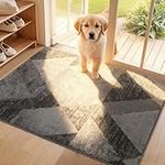 COSY HOMEER Dirt Trapper Door Mat for Indoor 60 x 90 cm, Dirt Trapper Front Door Mat, Polyester Welcome Mat Entrance Rug, Absorbent Non-Slip Indoor Doormat Machine Washable, Light Grey